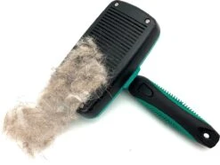 ElegaPet Hondenborstel Groen - Hondenhaar Verwijderen - Kat En Hondenkam - Slickerborstel Hond En Kat - Groomer - Ondervacht Kam Hond - Borstel Hond - Hondenborstel Langharig En Kortharig - Slickerborstel - Anti Klit/Knopen/Huidschilfers 14 ElegaPet Hondenborstel Groen - Hondenhaar Verwijderen - Kat En Hondenkam - Slickerborstel Hond En Kat - Groomer - Ondervacht Kam Hond - Borstel Hond - Hondenborstel Langharig En Kortharig - Slickerborstel - Anti Klit/Knopen/Huidschilfers -Huisdier Verkoop 1200x902