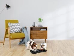 Merkloos Pet Treatment - Voerbakken Voor Huisdier Met Onderlegger - 2 X 170 Milliliter - RVS En Kunststof -Huisdier Verkoop 1200x908 2