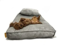Orthopedisch Hondenkussen Grijs - Hondenmand Ribstof Premium L - Luxe Hondenbed 100x70cm - Grijs Tot 40 KG 18 Orthopedisch Hondenkussen Grijs - Hondenmand Ribstof Premium L - Luxe Hondenbed 100x70cm - Grijs Tot 40 KG -Huisdier Verkoop 1200x910 3