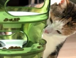 Cat-It Senses 2.0 Food Tree - Wit/Groen - Voerbak - Ø 35 Cm -Huisdier Verkoop 1200x923 8