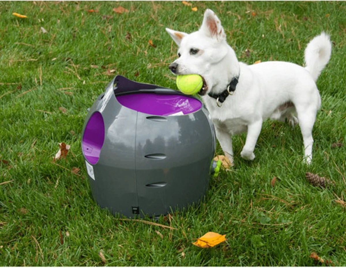 PetSafe Automatische Ballenwerper - Dierenspeelgoed 14 PetSafe Automatische Ballenwerper - Dierenspeelgoed - Afbeelding 12