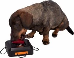 Trixie Dogtoy Dog Activity Strategy Game Gamble Box - Piepend Speelgoed - 15cm X 15cm X 9cm - Zwart/rood/oranje -Huisdier Verkoop 1200x935 3