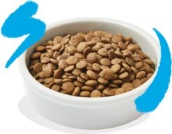 Edgard & Cooper Kattenvoer Adult Zalm 4 Kg -Huisdier Verkoop 1200x936 5