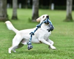 Viervoetjes - BigBoi - XXL - Honden Touw - 90cm - Honden Speelgoed - HondenSpeeltjes - Blauw/Wit/Zwart 7 Viervoetjes - BigBoi - XXL - Honden Touw - 90cm - Honden Speelgoed - HondenSpeeltjes - Blauw/Wit/Zwart -Huisdier Verkoop 1200x958 7