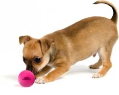 Dog Comets Ball Stardust Roze M 2pack – Honden Bal – Honden Speelgoed – Bal Voor Apporteren Van Uw Hond – Natuurlijk Rubber – Bal Diameter Van 6 Cm -Huisdier Verkoop 1200x959