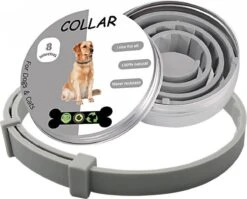 Igoods Vlooienband Hond - Vlooienband Kat - Alle Honden & Katten - One Size Fits All - Anti Vlooien En Tekenmiddel - Tekenband - 8 Maanden Bescherming - Diervriendelijk