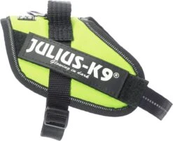 Julius K9 Julius-K9 IDC®Powertuig, XS - Mini-Mini, Neon 15 Julius K9 Julius-K9 IDC®Powertuig, XS - Mini-Mini, Neon -Huisdier Verkoop 1200x978 3