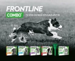 Frontline Combo - L: Van 20 Tot 40 Kg - Anti Vlooienmiddel En Tekenmiddel - Hond - 3 Pipetten -Huisdier Verkoop 1200x979 2