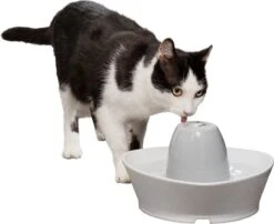 PetSafe® Streamside Ceramic Pet Fountain - Keramische Drinkfontein Voor Katten En Kleine Honden - Water Borrelt Zacht Over De Toren - Door Het Design Van Alle Kanten Bereikbaar - 1,8 Liter - PetSafe Streamside -Huisdier Verkoop 1200x983 5