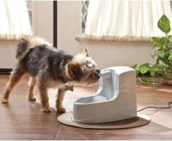 Petsafe Drinkwell Platinum - Drinkfontein - 5 L -Huisdier Verkoop 1200x986 6