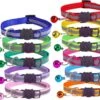 Petsify - Kattenhalsband Met Belletje - Veiligheidssluiting - Reflecterend - Halsband Kat - Halsband Kitten - Set Van 11 -Huisdier Verkoop 1200x986 7