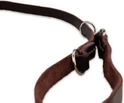 Multifunctionele Hondenriem - 220cm - Bruin - Leren Hondenriem - 100% Volnerfleer - Hondenriem Leer - Leiband Hond -Huisdier Verkoop 1200x993 1