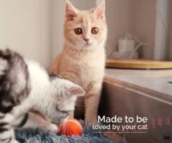 Cheerble Mini Ball 2.0 - Slimme Interactieve Zelf Rollende Bal Voor Katten - 3 Speelmodi - Kattenspeeltjes - USB Oplaadbaar - Rood 18 Cheerble Mini Ball 2.0 - Slimme Interactieve Zelf Rollende Bal Voor Katten - 3 Speelmodi - Kattenspeeltjes - USB Oplaadbaar - Rood -Huisdier Verkoop 1200x994 9