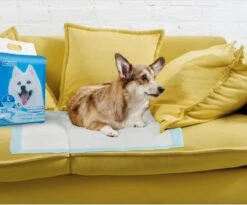 Nobleza 48LXE - Puppy Training Pads - 60 X 90 Cm - Zindelijkheidstraining - 120 Stuks 15 Nobleza 48LXE - Puppy Training Pads - 60 X 90 Cm - Zindelijkheidstraining - 120 Stuks -Huisdier Verkoop 1200x997 3