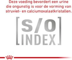 Royal Canin Veterinary Diet Cat Anallergenic - Kattenvoer - 4 Kg 10 Royal Canin Veterinary Diet Cat Anallergenic - Kattenvoer - 4 Kg -Huisdier Verkoop 1200x998 7