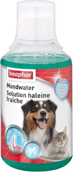 Beaphar Mondwater - 250 Ml 12 Beaphar Mondwater - 250 Ml -Huisdier Verkoop 509x1200 4