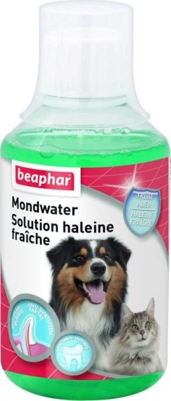Beaphar Mondwater - 250 Ml 11 Beaphar Mondwater - 250 Ml -Huisdier Verkoop 513x1200 1