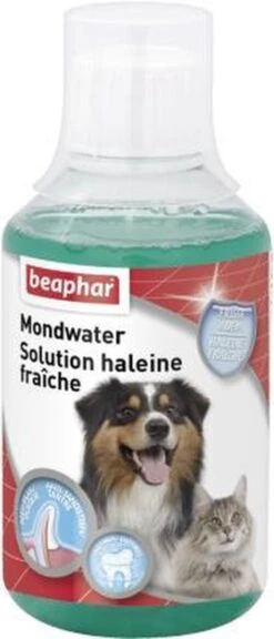 Beaphar Mondwater - 250 Ml 15 Beaphar Mondwater - 250 Ml -Huisdier Verkoop 515x1200 2