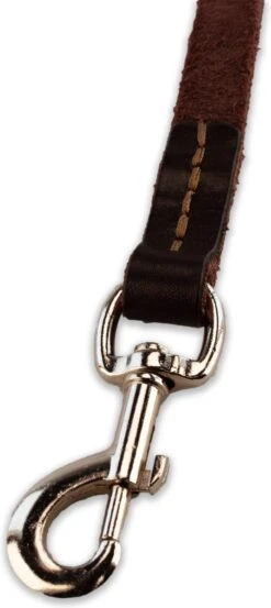 Multifunctionele Hondenriem - 220cm - Bruin - Leren Hondenriem - 100% Volnerfleer - Hondenriem Leer - Leiband Hond -Huisdier Verkoop 536x1200