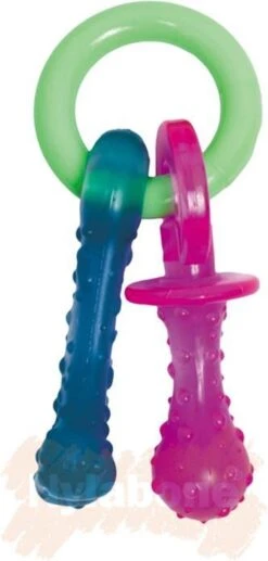 Nylabone Puppy Teething Pacifier Flexible - Hondenspeelgoed - Bacon 215x100x38 Mm 108 G Roze Blauw Groen Tot 11kg Small -Huisdier Verkoop 573x1200 6