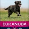 Eukanuba Dog Adult Large Breed - Kip - Hondenvoer - 15 Kg 1 Eukanuba Dog Adult Large Breed - Kip - Hondenvoer - 15 Kg -Huisdier Verkoop 577x1200 3