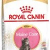Royal Canin Maine Coon Kitten - Kattenvoer - 4 Kg -Huisdier Verkoop 578x1200 5