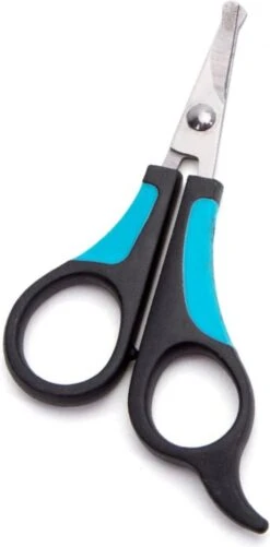 Nobleza Potenschaar - Snuitschaar - Stompe Schaar - Hondenschaar - Afgerond - Honden En Katten - RVS 11 Nobleza Potenschaar - Snuitschaar - Stompe Schaar - Hondenschaar - Afgerond - Honden En Katten - RVS -Huisdier Verkoop 592x1200 1