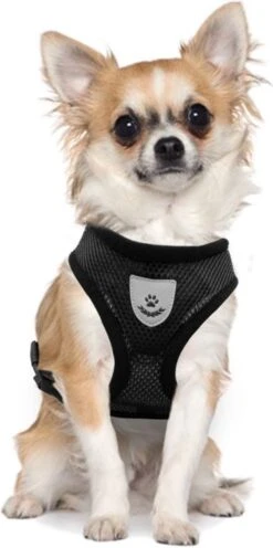 Ease Store Kattentuigje – Maat L – Met Looplijn – Kittentuigje – Dierentuigje – Hondentuigje – Reflecterend – Zwart -Huisdier Verkoop 597x1200 6