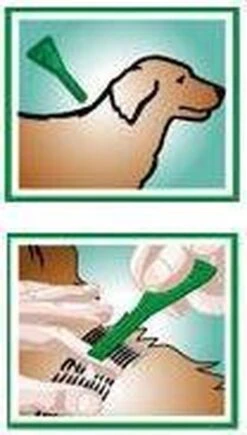 Frontline Combo - L: Van 20 Tot 40 Kg - Anti Vlooienmiddel En Tekenmiddel - Hond - 3 Pipetten -Huisdier Verkoop 681x1200 4