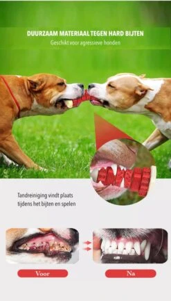 3-in-1 Hondenkauwbot - Gebitsverzorging - IQ Training - Voedsel Afgifte Functie - Geometrisch Ontwerp - Duurzaam & Milieuvriendelijk - Kauwbot - Honden - Hondenbot - Rood -Huisdier Verkoop 684x1200