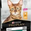 Pro Plan Adult Renal Plus - Katten Droogvoer - Kip - 10 Kg 1 Pro Plan Adult Renal Plus - Katten Droogvoer - Kip - 10 Kg -Huisdier Verkoop 725x1200 5