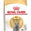 Royal Canin British Shorthair Adult - Kattenvoer - 2 Kg 1 Royal Canin British Shorthair Adult - Kattenvoer - 2 Kg -Huisdier Verkoop 729x1200