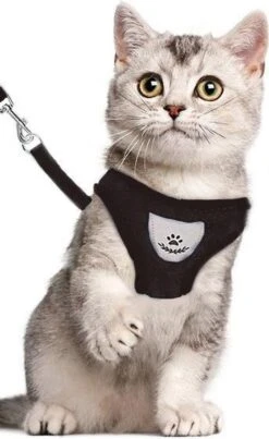 Luxyana Pets Hondentuig - M - 32-55cm - Harnas Voor Hond Of Grote Kat - Easy Step-in Hondenharnas - Inclusief Bijpassend Riempje - Zwart 22 Luxyana Pets Hondentuig - M - 32-55cm - Harnas Voor Hond Of Grote Kat - Easy Step-in Hondenharnas - Inclusief Bijpassend Riempje - Zwart -Huisdier Verkoop 735x1200 1