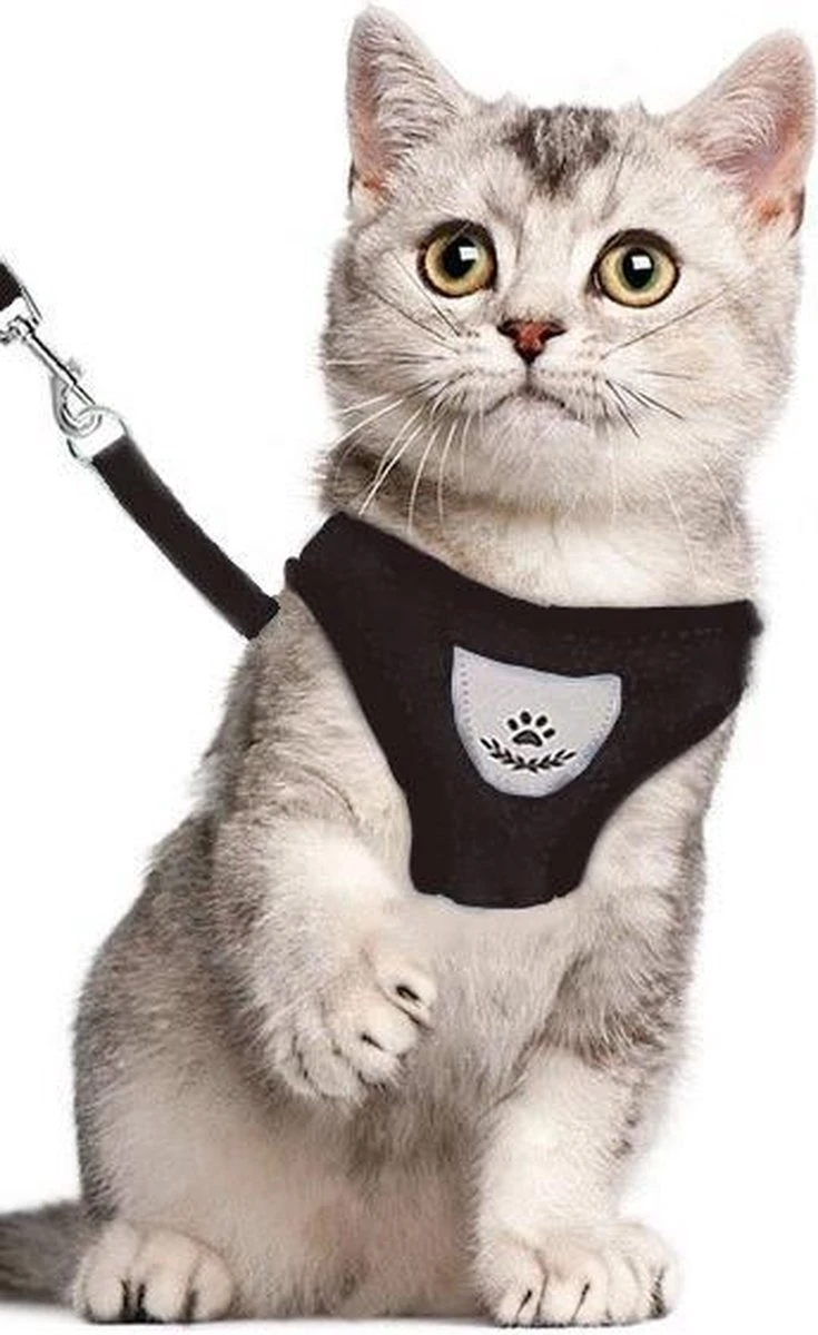 Luxyana Pets Hondentuig - M - 32-55cm - Harnas Voor Hond Of Grote Kat - Easy Step-in Hondenharnas - Inclusief Bijpassend Riempje - Zwart 10 Luxyana Pets Hondentuig - M - 32-55cm - Harnas Voor Hond Of Grote Kat - Easy Step-in Hondenharnas - Inclusief Bijpassend Riempje - Zwart - Afbeelding 8