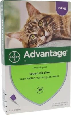 Bayer Anti Vlooienmiddel Advantage 80 > 4 Kg - 4 X 0,8 Ml 24 Bayer Anti Vlooienmiddel Advantage 80 > 4 Kg - 4 X 0,8 Ml -Huisdier Verkoop 739x1200