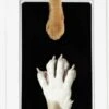 PrintMe - Paw Print Pad - Groter Formaat - Pootafdruk Maken Van Hond Of Kat - Zeer Gemakkelijk - Verbeterd Formaat! - Geen Inkt Op De Poot Van Uw Huisdier- Groot - Leuk Als Cadeau! 2 PrintMe - Paw Print Pad - Groter Formaat - Pootafdruk Maken Van Hond Of Kat - Zeer Gemakkelijk - Verbeterd Formaat! - Geen Inkt Op De Poot Van Uw Huisdier- Groot - Leuk Als Cadeau! -Huisdier Verkoop 750x1200 10