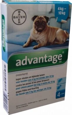 Bayer Advantage 100 Hond 4-10 Kg - 4 Pipetten à 1,0 Ml 31 Bayer Advantage 100 Hond 4-10 Kg - 4 Pipetten à 1,0 Ml -Huisdier Verkoop 753x1200 1