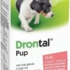 Drontal Pup Ontwormingsmiddel - Puppy - 50 Ml -Huisdier Verkoop 769x1200