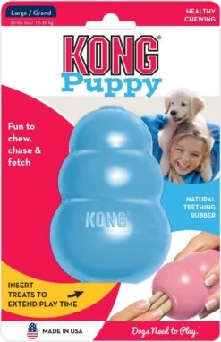 Kong Puppy - Hondenspeelgoed - Assorti - M -Huisdier Verkoop 776x1200 5