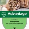 Bayer Anti Vlooienmiddel Advantage 80 > 4 Kg - 4 X 0,8 Ml 1 Bayer Anti Vlooienmiddel Advantage 80 > 4 Kg - 4 X 0,8 Ml -Huisdier Verkoop 788x1200 4