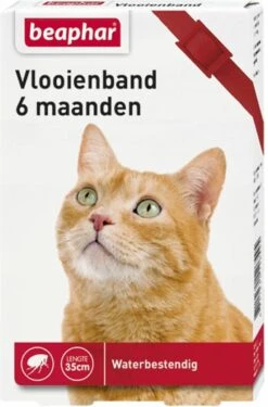 Beaphar Vlooienband Kat - Rood - 1 Stuk