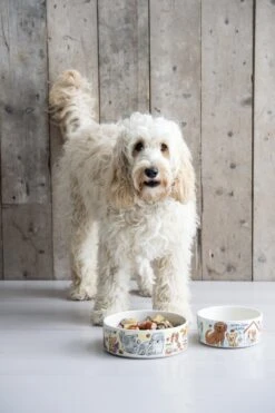 Blond Amsterdam - Dier - Voerbak - Hond - Ø 15.5 Cm -Huisdier Verkoop 798x1200 2