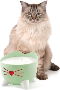 Catit Pixi Fountain - Kattendrinkbak - 20x20x16 Cm Groen -Huisdier Verkoop 800x1200 59