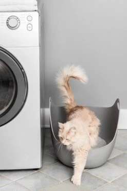 LitterLocker LitterBox - Grijs 11 LitterLocker LitterBox - Grijs -Huisdier Verkoop 800x1200 61