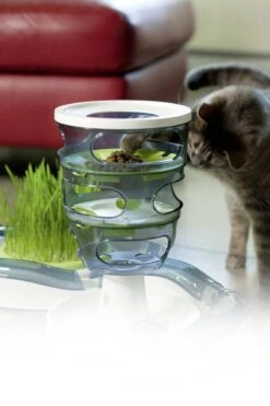 Catit Design Senses Food Maze - Kattenspeelgoed 11 Catit Design Senses Food Maze - Kattenspeelgoed -Huisdier Verkoop 800x1200 63