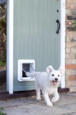 SureFlap Microchip - Kattenluik - Wit - L - 18 X 17 Cm -Huisdier Verkoop 800x1200 65