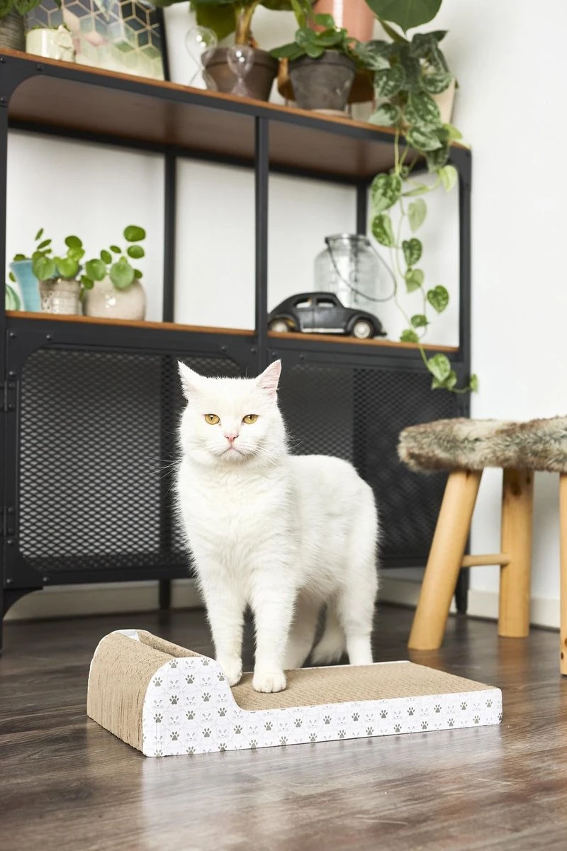 Huisdier Verkoop -Huisdier Verkoop 800x1200 71