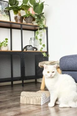 Adori Krabplank Met Spel - Krabpaal - 45x25x11 Cm 10 Adori Krabplank Met Spel - Krabpaal - 45x25x11 Cm -Huisdier Verkoop 800x1200 72