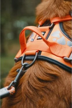 Hurtta Weekend Warrior Harness Zwart Maat - 60-80 -Huisdier Verkoop 802x1200 6