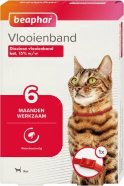 Beaphar Vlooienband Kat - Rood - 1 Stuk -Huisdier Verkoop 804x1200 6